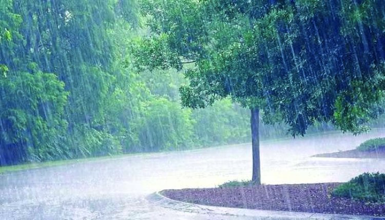 मुंबई में अलर्ट, हिमाचल और उत्तराखंड में चेतावनी; दुर्ग जिले में अब तक हुई 140.2 मिमी औसत वर्षा 