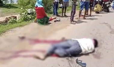 ट्रक की ठोकर से पिता की मौत, पुत्र गंभीर