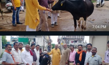 जिला अध्यक्ष जितेंद्र वर्मा के नेतृत्व में भाजपा ने गायों को आटा लोंदी खिलाकर और गले में रेडियम पट्टी बांधकर मनाया हरेली तिहार