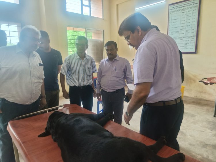 संभागायुक्त श्री कावरे ने पशु चिकित्सालय में दी दबिश,1 कर्मचारी को निलंबित करने के दिये निर्देश, 8 अधिकारी- कर्मचारी को थमाया नोटिस