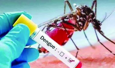 भिलाई टाउनशिप में डेंगू का बढ़ता कहर, अब तक मिले 26 मरीज
