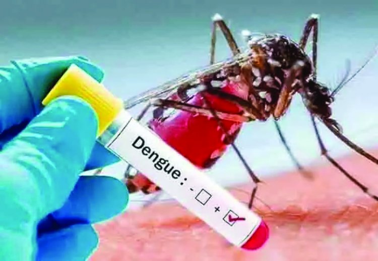 भिलाई टाउनशिप में डेंगू का बढ़ता कहर, अब तक मिले 26 मरीज 