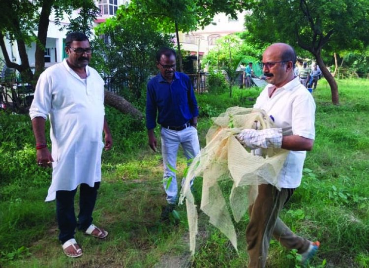 महज चार घंटे में संवारा कटिले झाडिय़ों से पट चुके उद्यान को 