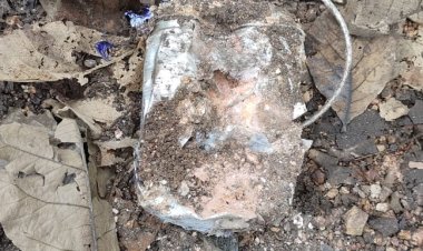 दो किलो वजनी एक टिफिन आईईडी बरामद, माओवादियों के मनसूबों पर सुरक्षावालों ने फेरा पानी