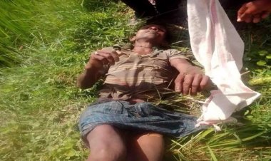 जंगली सूअर के हमले से किसान की मौत