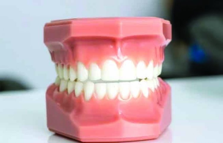अब दवा से उगेंगे नए दांत, जापानी वैज्ञानिकों ने किया कमाल, हर उम्र के लोगों पर होगी असरदार 