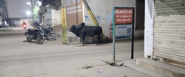 यहां असमाजिक तत्वों का डेरा, शाम होते ही बीच सड़क पर शराब की महफिल शुरू, आतंक के साए में मोहल्लेवासी, महिलाओं से छेड़खानी और गुंडागर्दी - गाली गलौज आम बात