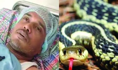 संपत्ति के लिए पत्नी ने पहले पति को पिलाई बीयर फिर सांप से डंसवाई