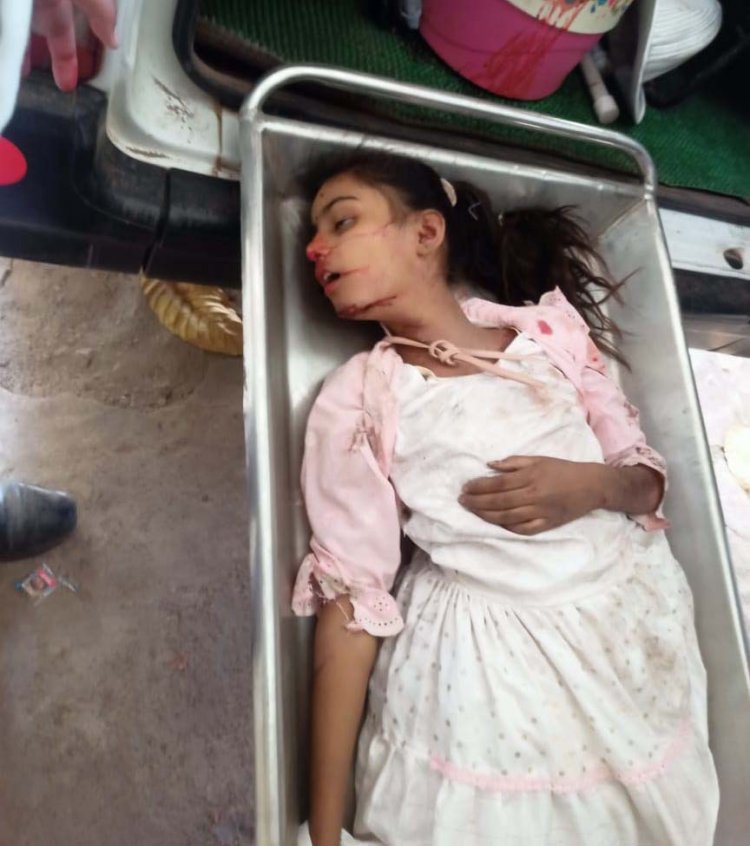 दुर्ग जिले में बड़ा सड़क हादसा, ट्रक ट्रेलर और बाइक की भिड़ंत में पिता-पुत्री की मौत, एक बच्ची गंभीर