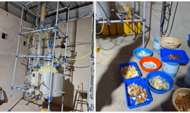 नशीले पदार्थ बनाने वाली कई लैब का भंडाफोड़, 300 करोड़ रुपये की ड्रग्स बरामद, 7 गिरफ्तार