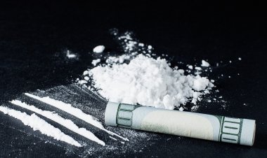 ड्रग्स के साथ एक लड़की सहित 5 गिरफ्तार, दिल्ली से ड्रग्स लेकर पहुंचे थे रायपुर, एक पुलिस कर्मी का नाम भी आया सामने