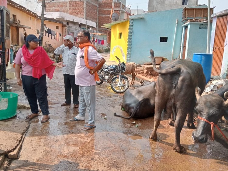 गंदगी फैला रहे भैंस खटालों पर की गई कार्रवाई