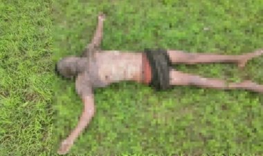 अज्ञात युवक की सड़ी गली लाश मिली