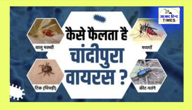 चांदीपुरा वायरस को लेकर केंद्र सरकार का अलर्ट जारी, अब तक 48 बच्चों की हो चुकी है मौत, आप भी हो जाए सावधान, पढ़े पूरी खबर