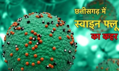 छत्तीसगढ़ में स्वाइन फ्लू से 12 मौतों के बाद अलर्ट पर सरकार, हजारों की संख्या में लोग पाए गए संक्रमित