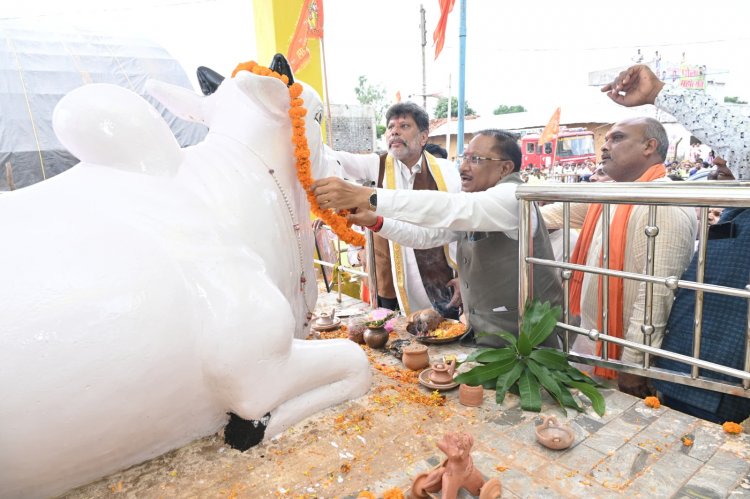 मड़ियापार पोला महोत्सव में शामिल हुए मुख्यमंत्री श्री साय, बैल दौड़ को हरी झण्डी दिखाकर कार्यक्रम का किया शुभारंभ