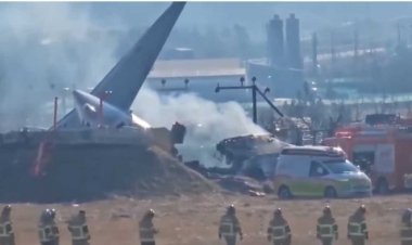 सुबह-सुबह विमान हादसा, 85 शव बरामद