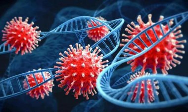 भारत पहुंचा चीन का HMPV वायरस, कर्नाटक में दो बच्चे संक्रमित