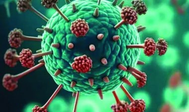 HMPV वायरस ने बढ़ा दी है भारत की चिंता, अब तक 6 मामले आए सामने, जाने इसका लक्षण