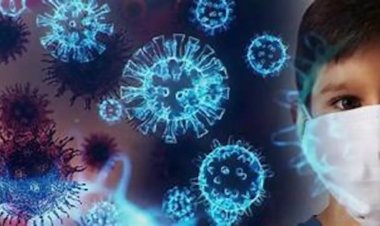 छत्तीसगढ़ पहुंचा HMPV वायरस, तीन साल का बालक निकला संक्रमित, अलर्ट जारी