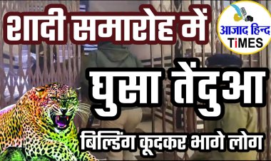 शादी समारोह में घुसा तेंदुआ, बिल्डिंग कूदकर भाग लोग
