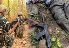 कोबरा कमांडो और पुलिस से मुठभेड़ में एक करोड़ के इनामी समेत 8 नक्सली ढेर