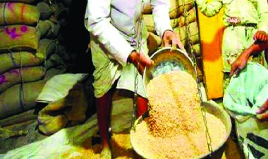 CID जांच में खुलासा: करीब 100 अपात्रों को एक ही आधार पर बांटा गया राशन