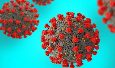 कोविड को हल्के में मत लें, दिल्ली में कोरोना से 4 लोगों की मौत, हाईकोर्ट ने मांगी जानकारी