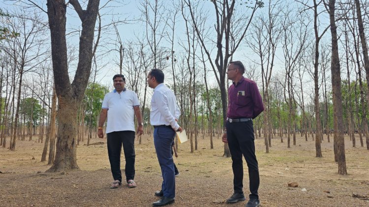 बोरसीभांठा में बनेगा ऑक्सीजोन, विधायक गजेन्द्र यादव ने किया निरिक्षण