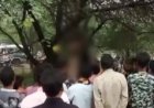 पेड़ पर लटकी मिली युवक-युवती की लाश