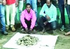 करोड़ों रुपए मूल्य के पैंगोलिन की खाल बरामद, दो आरोपी गिरफ्तार