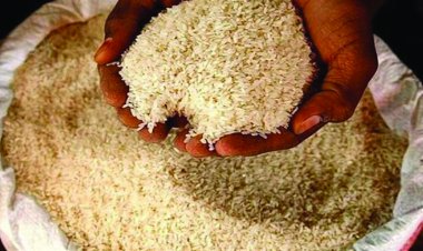 लोकल चावल में चर्चित ब्रांड का लेबल लगाकर बेचा जा रहा था ऊंची कीमत पर, दो राइस मिलरों की भूमिका जांच के घेरे में