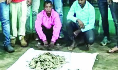 करोड़ों रुपए मूल्य के पैंगोलिन की खाल बरामद, दो आरोपी गिरफ्तार