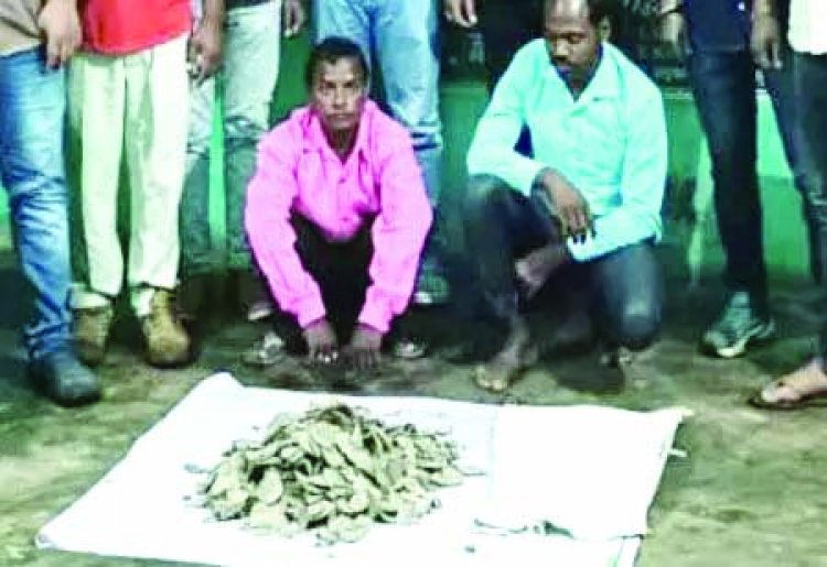 करोड़ों रुपए मूल्य के पैंगोलिन की खाल बरामद, दो आरोपी गिरफ्तार