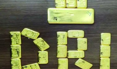 सोना तस्करी मामले में रायपुर ईडी की बड़ी कार्रवाई, सचिन केदार और पुरुषोत्तम कावले के 3.76 करोड़ रुपये मूल्य की संपत्ति कुर्क