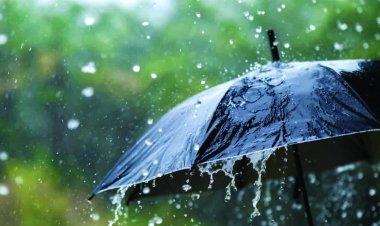 दुर्ग जिले में अब तक 144.7 मि.मी. औसत वर्षा दर्ज, पाटन तहसील में सर्वाधिक बारिश