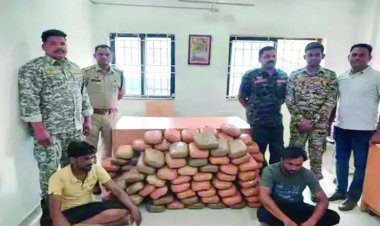 राजस्थान पासिंग ट्रक से 120 किलो गांजा बरामद, दो अंतरराज्यीय तस्कर गिरफ्तार