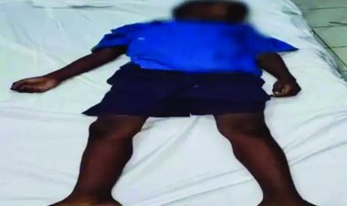 हॉस्टल में तीसरी कक्षा के छात्र की संदिग्ध जीव के काटने से मौत, वार्डन और मंडल संयोजक पद से हटाए गए