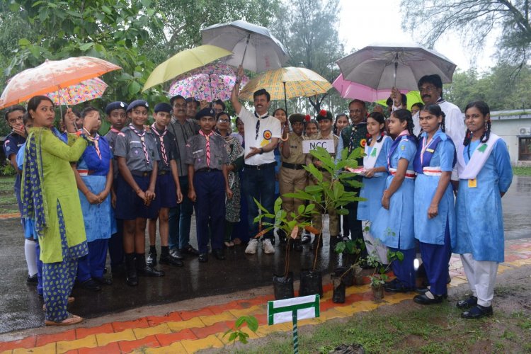 भिलाई विद्यालय में वृक्षों को बांधा रक्षा सूत्र, पर्यावरण सहेजने का लिया संकल्प