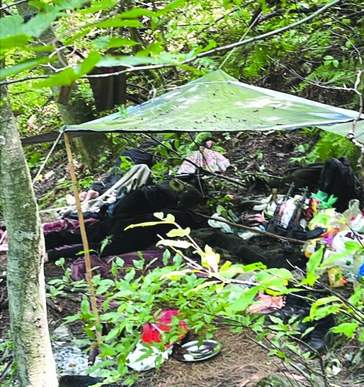 श्रीनगर के जंगलों में भारतीय सेना की बड़ी कामयाबी, पहलगाम हमले का आतंकी ढेर
