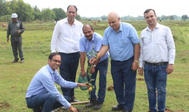जेके लक्ष्मी सीमेंट लिमिटेड में एक पेड़ माँ के नाम अभियान के तहत वृहत वृक्षारोपण पखवाड़ा