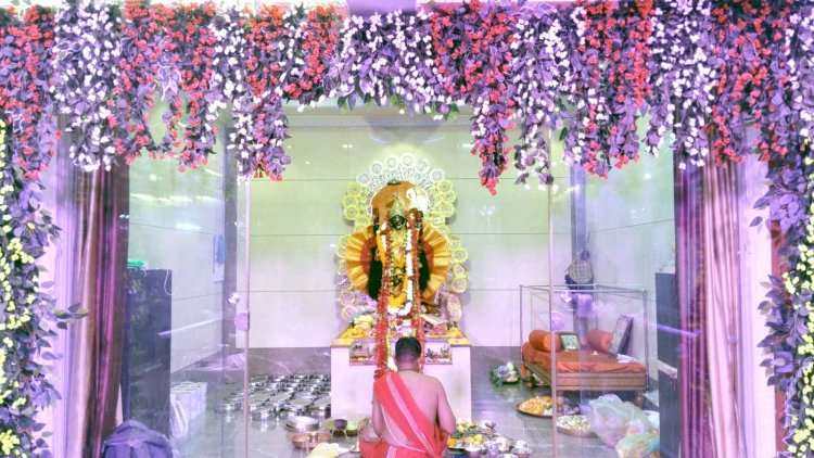 भिलाई के हुडको कालीबाड़ी में धूमधाम से मनाई गई काली पूजा, भक्तों ने किया मां काली का जयगान