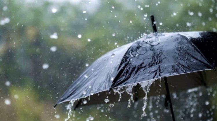 छत्तीसगढ़ में ‘मोन्था’ चक्रवात का असर शुरू, कई जिलों में बारिश के साथ बढ़ी ठंड