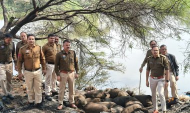 घोरारी गांव के तालाब में छिपाकर रखा था 90 बोरी महुआ लहान, पुलिस व आबकारी विभाग ने की कार्रवाई