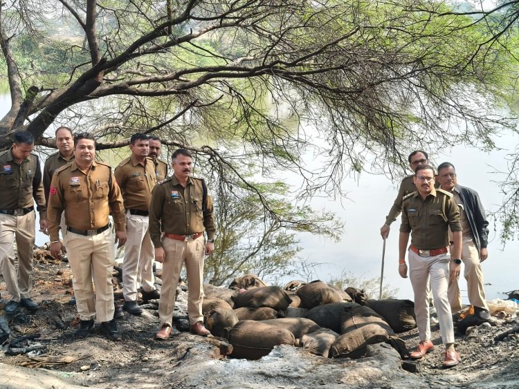 घोरारी गांव के तालाब में छिपाकर रखा था 90 बोरी महुआ लहान, पुलिस व आबकारी विभाग ने की कार्रवाई