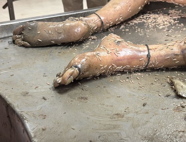 भिलाई बोरीकांड, बोरे में मिली महिला की लाश की हुई शिनाख्ती, जल्द बेनकाब होंगे हत्यारे