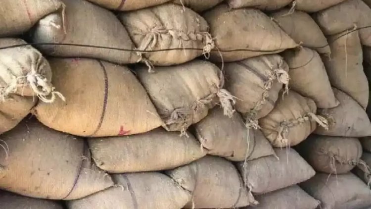 रायगढ़ में बड़ी कार्रवाई 23 कोचियों से 4583 क्विंटल अवैध धान जब्त, कीमत 1.47 करोड़ से ज्यादा