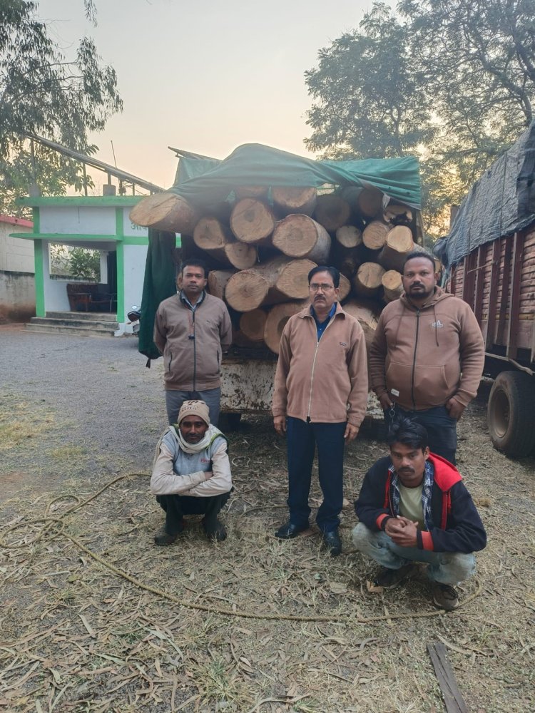 दुर्ग जिले में प्रतिबंधित कहुआ प्रजाति के लकड़ी परिवहन करते 5 वाहन जब्त, 10 ड्राइवर व हेल्पर पर कार्रवाई