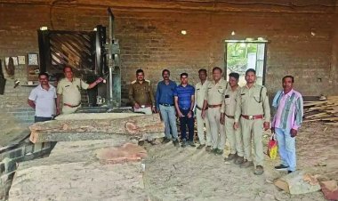 वन विभाग की बड़ी कार्रवाई, दो आरा मशीनों से 992 नग अर्जुन लकड़ी जब्त