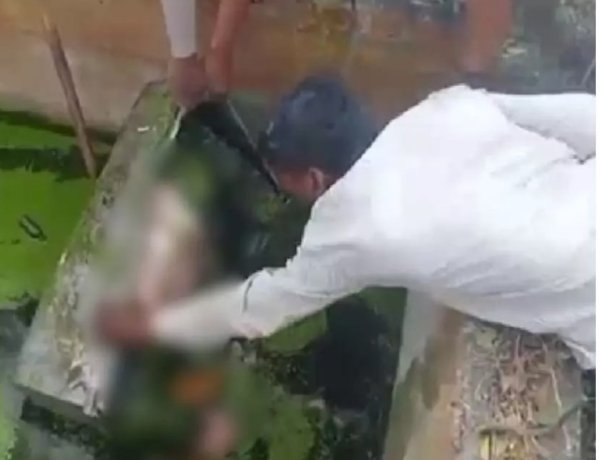 सेप्टिक टैंक में लोहे के संदूक से महिला का शव बरामद, क्षेत्र में फैली सनसनी